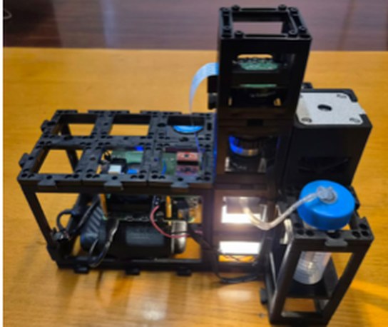 Imagen de plancton con organismos identificados automáticamente