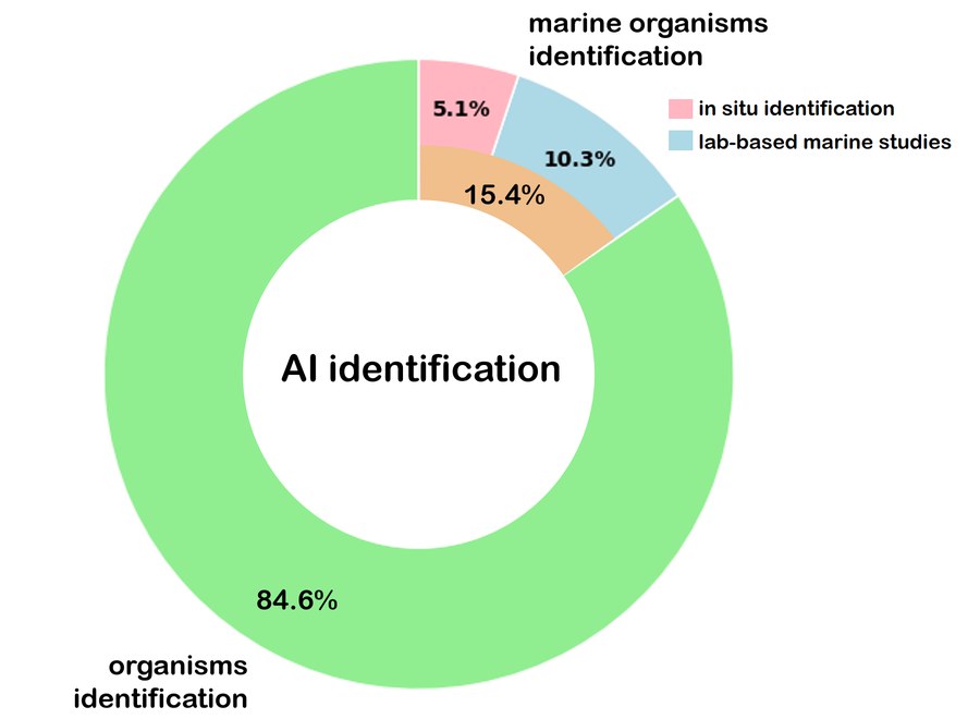 Gráfico de la revisión sobre identificación de organismos marinos con IA